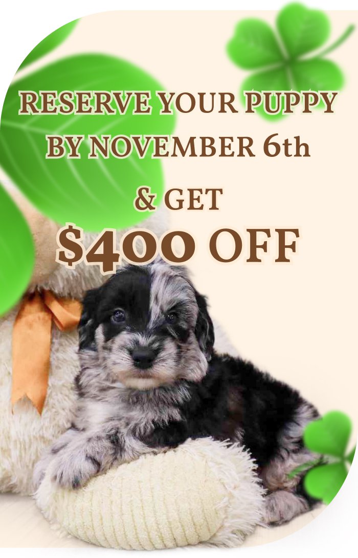 Reserve your puppy by November 6th & get $400 off.