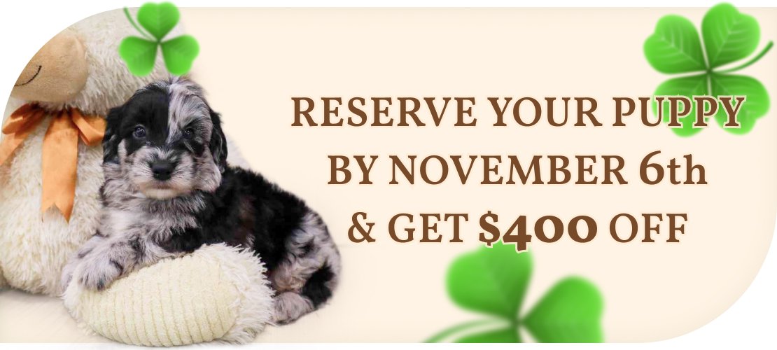 Reserve your puppy by November 6th & get $400 off.